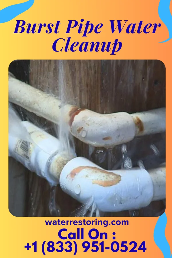 Burst Pipe Water Cleanup in San Luis, CO
